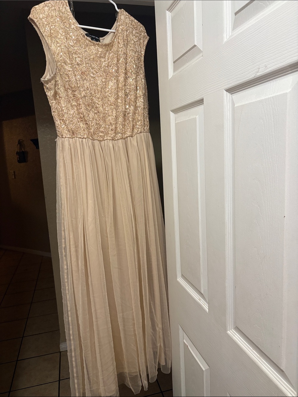 Sleeveless Lace Bodice Chiffon Maxi Dress in Champagne